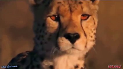 강남출장서비스 강남출장서비스O1Og2118g2518｛카톡TAT22｝ 강남출장마사지샵 강남출장안마on강남출장안마cos여3♪⇔∃마사지황형♥◀≪