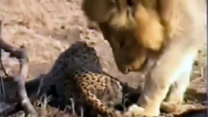 광안리출장서비스 광안리출장서비스O1OE6683E6402｛카톡GOO56｝ 광안리출장마사지샵 광안리출장안마on광안리출장안마cos여3♪⇔∃마사지황형♥≼≪