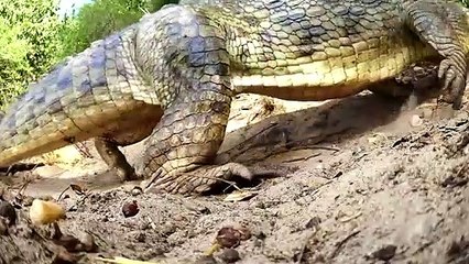 서초출장서비스 서초출장서비스O1Og2154g6609｛카톡MBN74｝ 서초출장마사지샵 서초출장안마on서초출장안마cos여3♪⇔∃마사지황형♥⊒≪