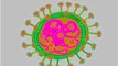 Fears Over Spread Of Coronavirus