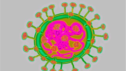 Fears Over Spread Of Coronavirus