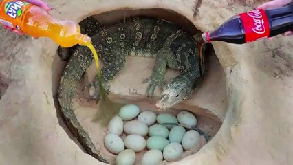 Experiment : Sprite Vs Fanta Vs Mentos vs Coca Cola Catch Big Komodo Dragon From Deep Hole