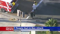 هجوم النحل على رجال الشرطة في أمريكا
