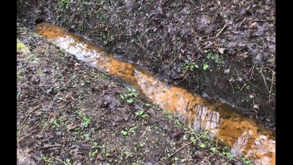 Pinneberg Februar 2020 - An der Mühlenau /Full Film/Complete Movie/Ganzer Film