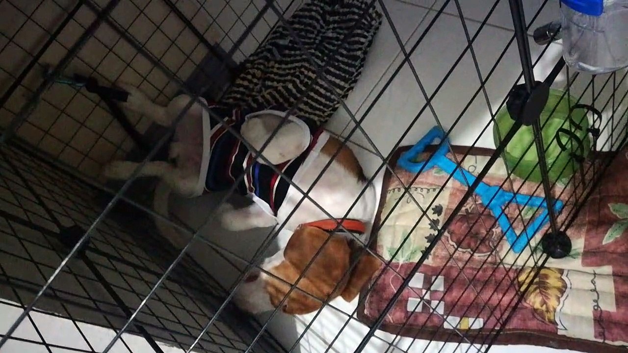 The right position to sleep haha