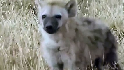 범계출장서비스 범계출장서비스O1OE2104E4640｛카톡YOK88｝ 범계출장마사지샵 범계출장안마on범계출장안마cos여3♪⇔∃마사지황형♥≖≪