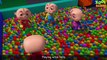 Kids Funny Cartoon - Five Little Babies Opening The Eggs - Five Little Babies Collection - Zool Babies Fun Rhymes