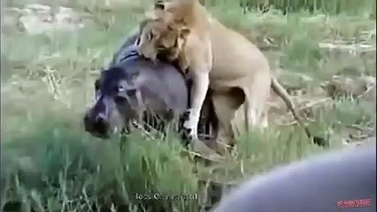 문경출장서비스 문경출장서비스O1OE6683E6402｛카톡GOO56｝ 문경출장마사지샵 문경출장안마on문경출장안마cos여3♪⇔∃마사지황형♥∾≪