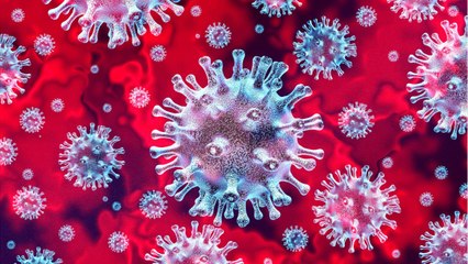 Israel, Palestine Scrambles After Tourists Infected With Coronavirus Visit Holy Sites
