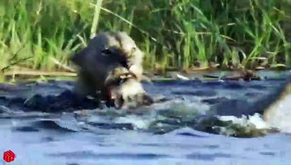 서산출장서비스 서산출장서비스O1Og2118g2518｛카톡TAT22｝ 서산출장마사지샵 서산출장안마on서산출장안마cos여3♪⇔∃마사지황형♥∩≪