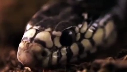 김포출장서비스 김포출장서비스O1Og2154g6609｛카톡VPN58｝ 김포출장마사지샵 김포출장안마on김포출장안마cos여3♪⇔∃마사지황형♥◪≪