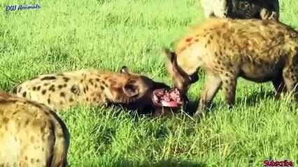 경산출장서비스 경산출장서비스O1Og4832g2166｛카톡MGM85｝ 경산출장마사지샵 경산출장안마on경산출장안마cos여3♪⇔∃마사지황형♥∼≪