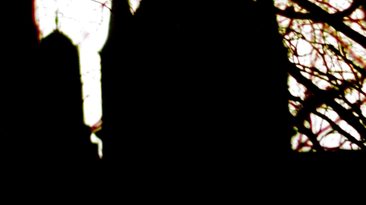 Jan 9 2020 DL7