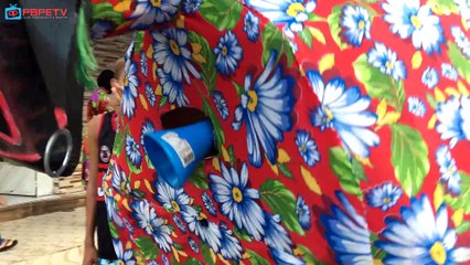 BOI PINTADO DE NOVA AURORA PEDRAS DE FOGO