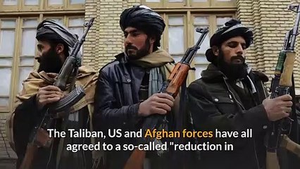 Taliban News - Partial truce begins in Afghanistan amid isolated attacks