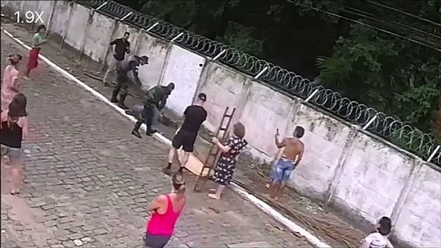 Jiboia é capturada pela Polícia Ambiental na Prainha, em Vila Velha