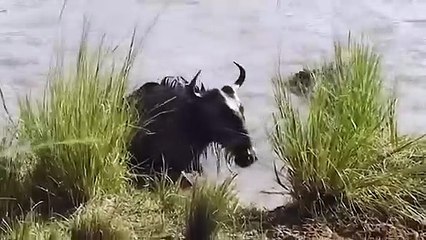 여주추천업소【OI0↔29O8↔68O③】여주추천업소예약♥◭≪