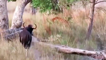 구미출장서비스 구미출장서비스O1OE9914E7203｛카톡MOK8｝ 구미출장마사지샵 구미출장안마on구미출장안마cos여3♪⇔∃마사지황형♥≾≪