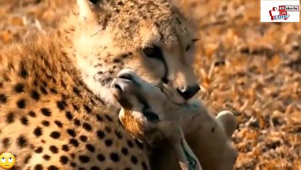 계양출장서비스 계양출장서비스O1Og4832g2166｛카톡BBC42｝ 계양출장마사지샵 계양출장안마on계양출장안마cos여3♪⇔∃마사지황형♥≼≪