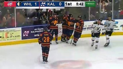 Game Recap - Wheeling Nailers at Kalamazoo Wings