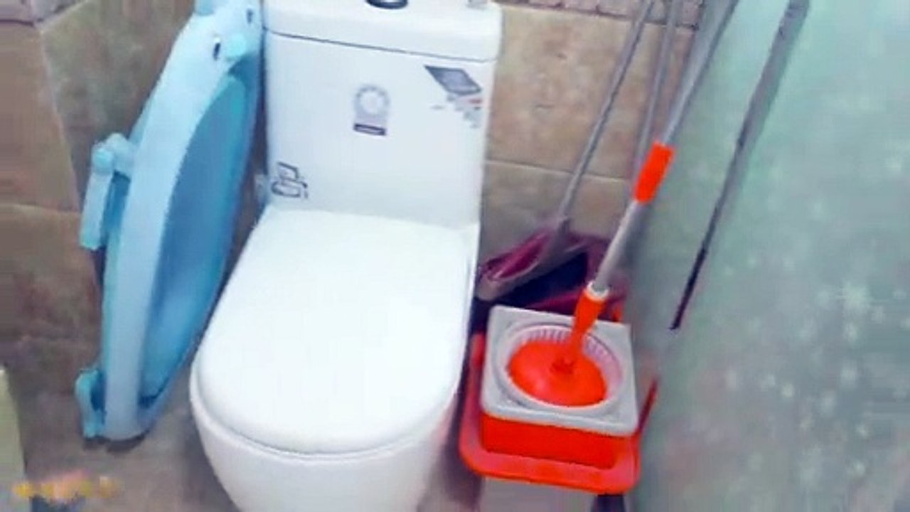 Funny Cat Cute and Funny Cat Videos Compilation #31