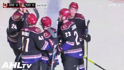 Highlights: Stockton Heat (4) at Tucson Roadrunners (1)