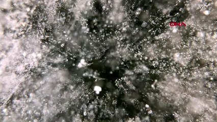 Aygır gölü'nde buz tabakasının kırılma anında çıkardığı ses ürkütüyor