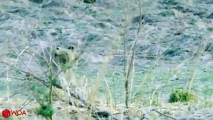 남해출장서비스 남해출장서비스O1OE6579E3382｛카톡RMB7｝ 남해출장마사지샵 남해출장안마on남해출장안마cos여3♪⇔∃마사지황형♥≓≪