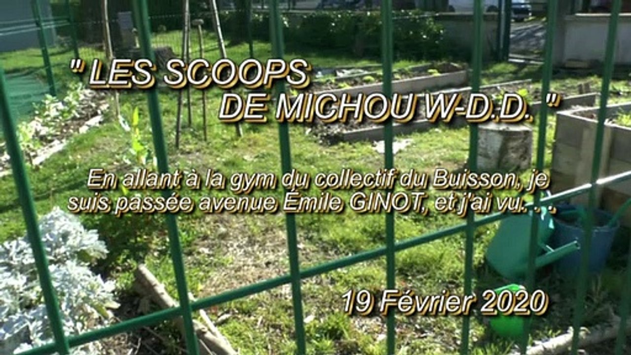 LES SCOOPS DE MICHOU W-D.D. - 19 FÉVRIER 2020 - PAU - LES COMPOSTEURS DU JARDINET DE L'ÉCOLE DU BUISSON