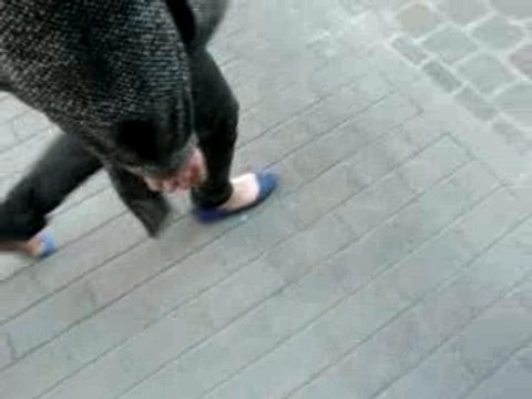 comme un chien avec des pantoufles