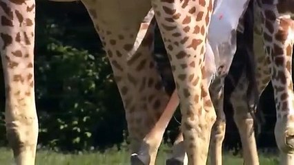 안성추천업소【OI0↔29O8↔68O③】안성추천업소예약♥⊄≪