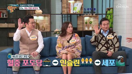 아는 만큼 보인다! ◆당뇨◆ 걸리는 이유는?