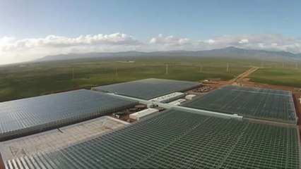The absolutely enormous solar project required to power a greenhouse.