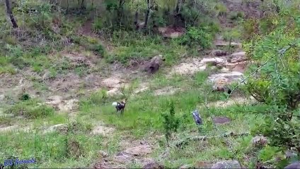 안산추천업소【OI0↔29O8↔68O③】안산추천업소예약♥∐≪