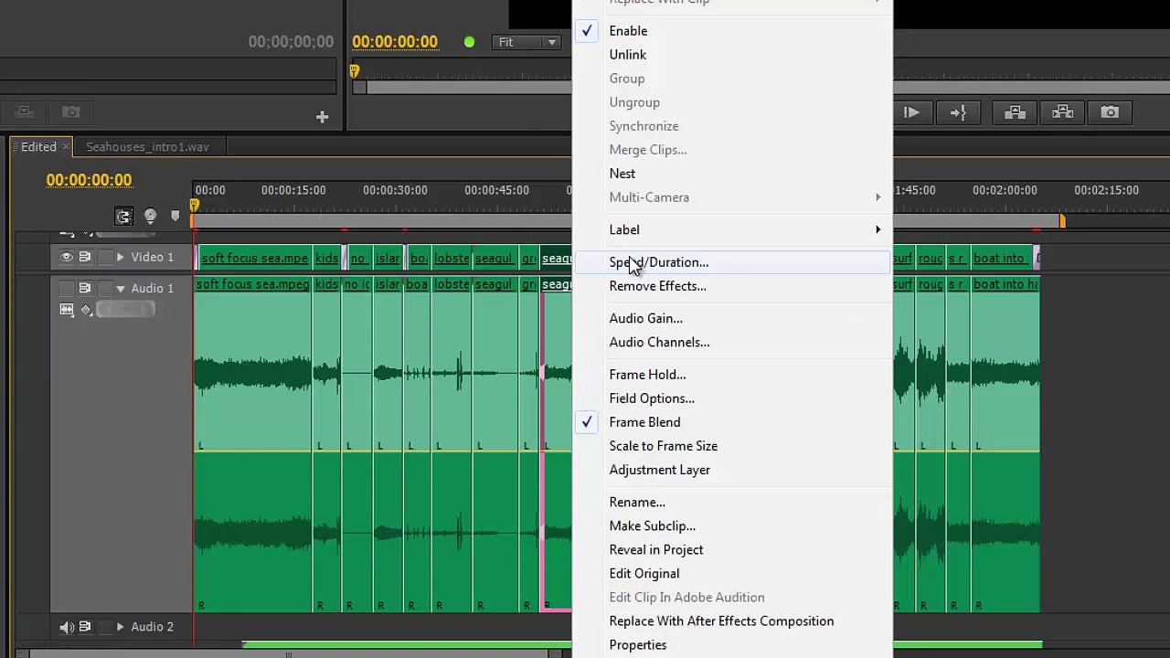 Premiere Pro CS6 83 Gain Options