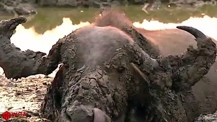 군포출장서비스 군포출장서비스O1Og4832g2166｛카톡QQ565｝ 군포출장마사지샵 군포출장안마on군포출장안마cos여3♪⇔∃마사지황형♥∉≪