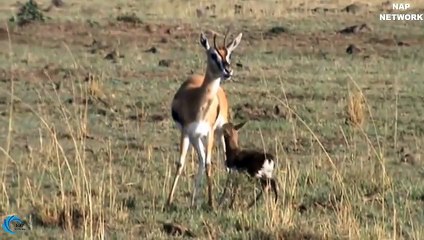 거창추천업소【OI0↔29O8↔68O③】거창추천업소예약♥≕≪