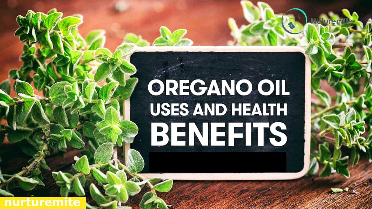 oregano:Health benefits and side effects-Nuturemite