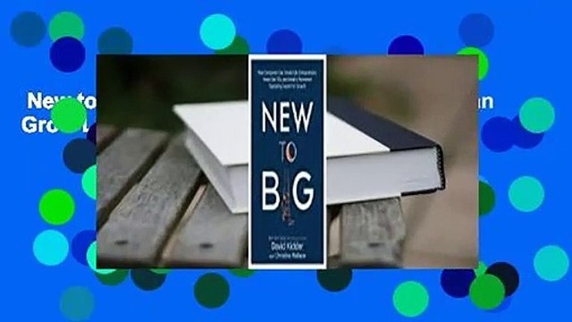 New to Big: How Established Businesses Can Grow Like Startups Review