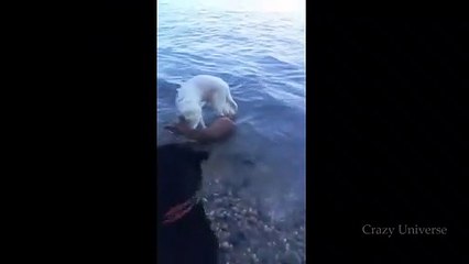 영주출장서비스 영주출장서비스O1OE2541E2560｛카톡YTN9｝ 영주출장마사지샵 영주출장안마on영주출장안마cos여3♪⇔∃마사지황형♥◡≪