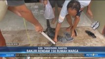 Diduga Terbawa Banjir, Seekor Biawak Masuk Rumah Warga di Tangerang