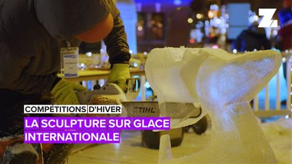 Compétitions d'hiver: les sculpteurs sur glace