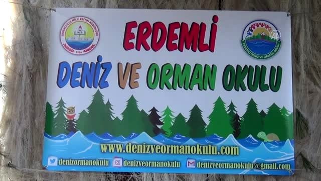 Öğretmenler Deniz ve Doğa Okulu Kampı nda buluştu