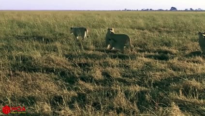 부천출장서비스 부천출장서비스O1Og2143g9131｛카톡KOM88｝ 부천출장마사지샵 부천출장안마on부천출장안마cos여3♪⇔∃마사지황형♥∍≪