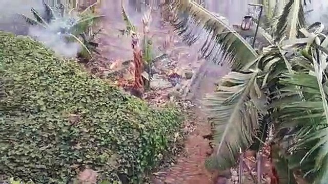 El fuego hace arder el antiguo invernadero de Los Realejos