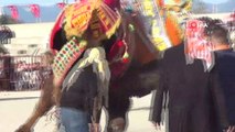 Pehlivan develerin Ortaklar Arenası'ndaki güreşi heyecanlı anlara sahne oldu