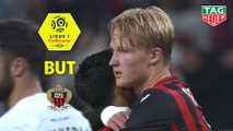 But Kasper DOLBERG (33ème) / OGC Nice - Stade Brestois 29 - (2-2) - (OGCN-BREST) / 2019-20