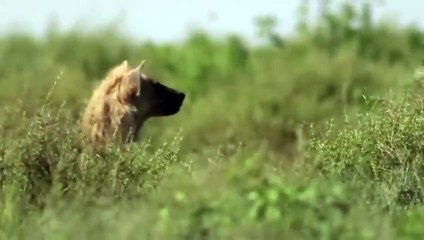 홍성추천업소【OI0↔29O8↔68O③】홍성추천업소예약♥≔≪