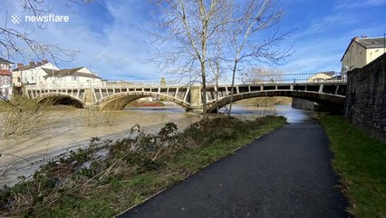 River Severn bursts banks in Mid Wales after weeks of heavy rain