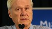 MSNBC's Chris Matthews Under Fire For Comparing Sanders Supporters To Nazis